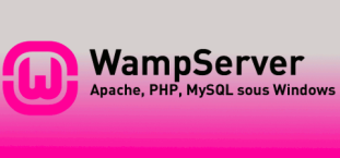 wamp server 480x225